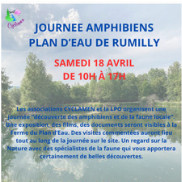 Une journée dédiée aux amphibiens au plan d’eau de Rumilly